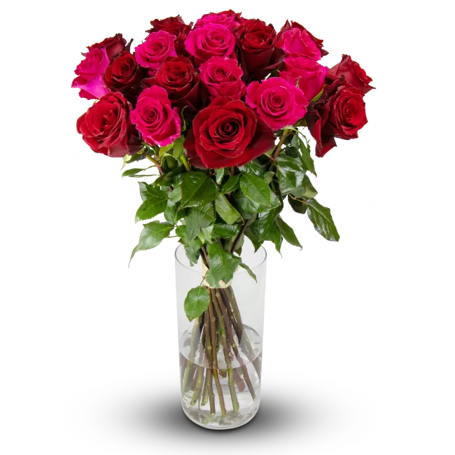 Kytice ekvádorských růží 80 cm